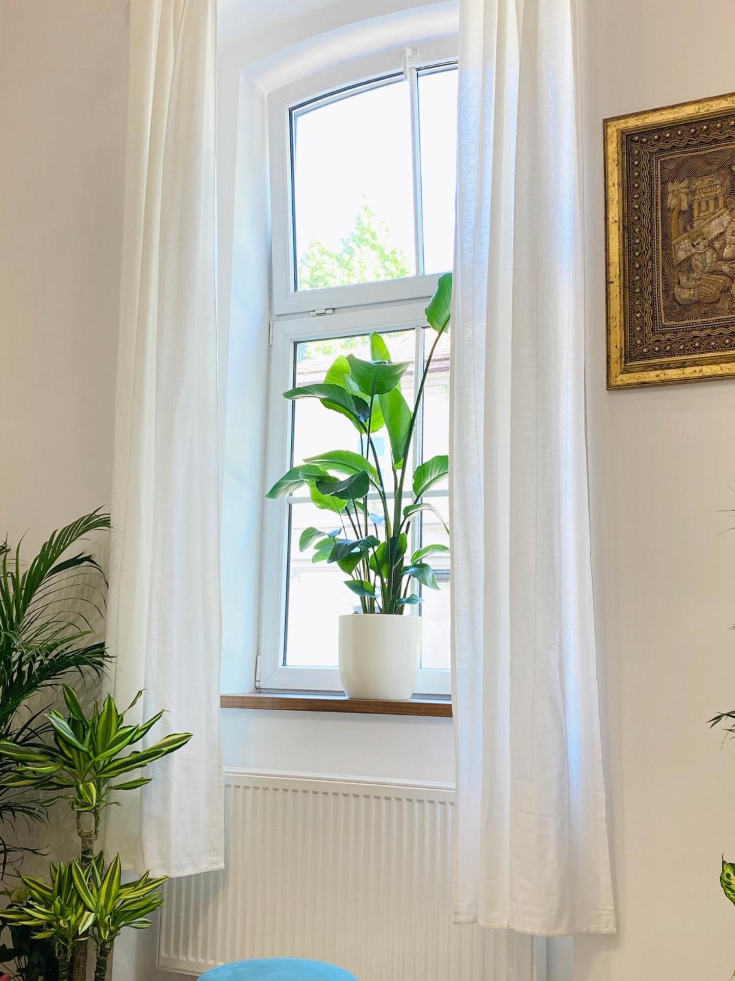Jungle Loft - Central/Free Parking Ljubljana Ngoại thất bức ảnh