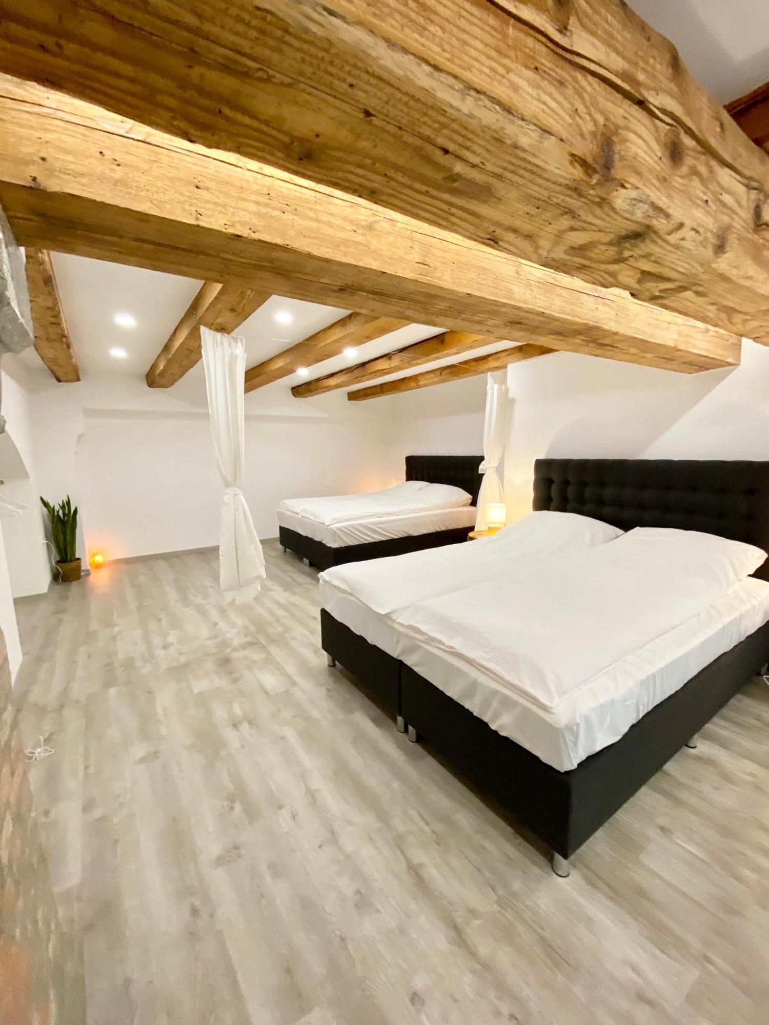 Jungle Loft - Central/Free Parking Ljubljana Ngoại thất bức ảnh